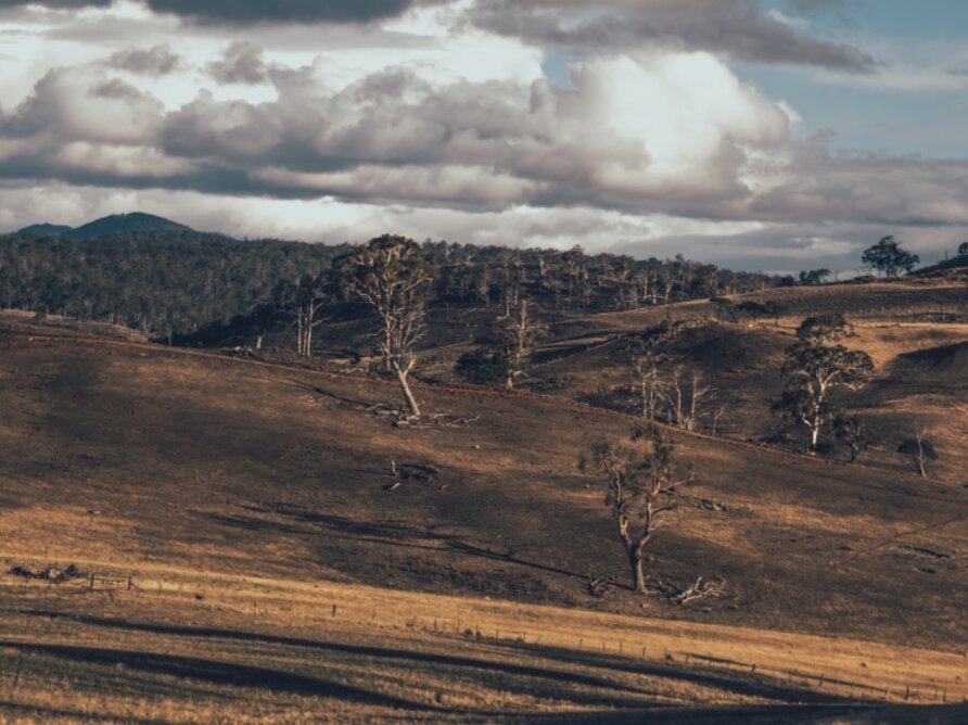 LANDSCAPE TASMANIA LANDSCAPE TASMANIA