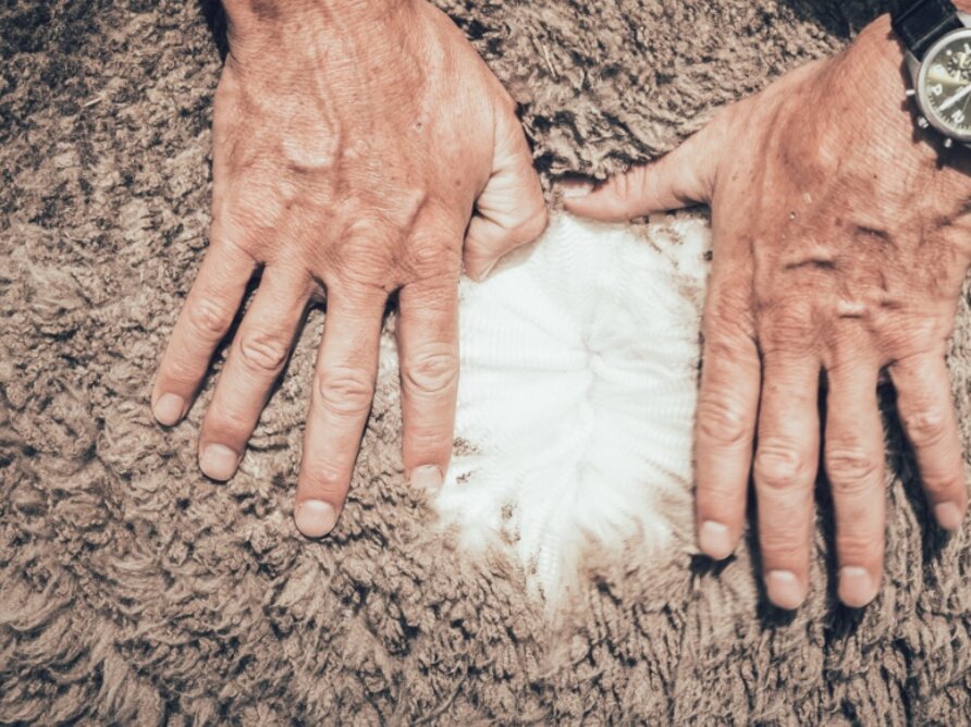 MERINO WOOL  MERINO WOOL