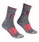 Socks ALPINIST PRO COMP MID SOCKS W Gray