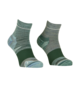 Socks ALPINE QUARTER SOCKS M Blue Green
