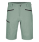 Shorts PELMO SHORTS M Gray Green