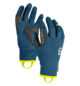 Gloves FLEECE LIGHT GLOVE M Blue