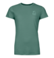 T-Shirts 120 COOL TEC MTN DUO TS W Green