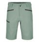 Shorts PELMO SHORTS M Green