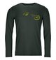 Longsleeves 185 MERINO LOGO SPRAY LS M Green