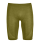 Caleçons courts 120 COMP LIGHT SHORTS M Vert