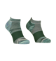 Chaussettes ALPINE LOW SOCKS M Vert