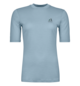 T-Shirts 185 MERINO MTN HUG TS W Grau