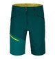 Shorts BRENTA SHORTS M Verde