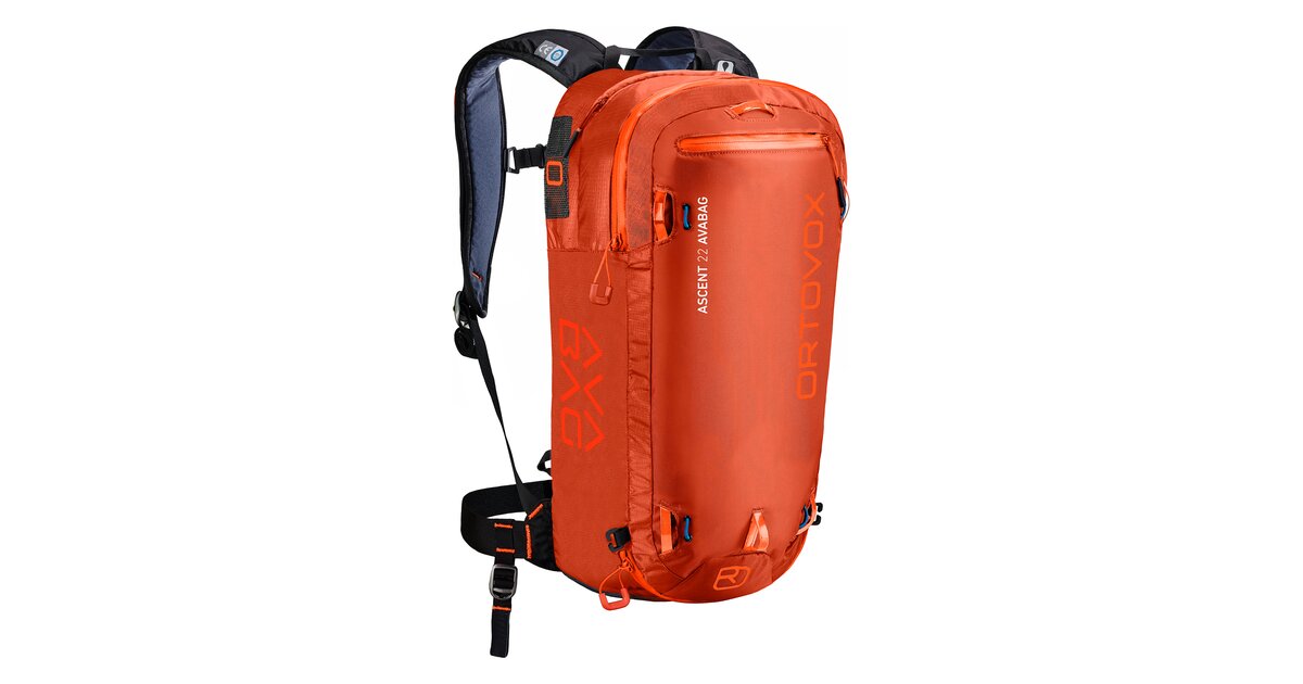 Ortovox ascent online