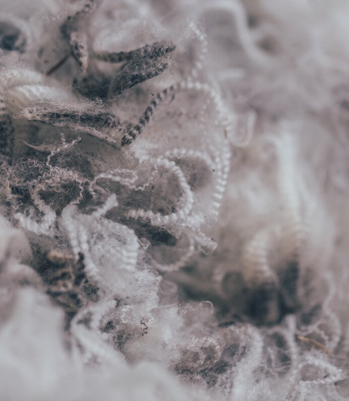 ORTOVOX Wool  | © ORTOVOX Wool 