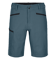 Shorts PELMO SHORTS M Blue