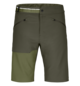 Shorts BRENTA SHORTS M Vert