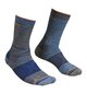 Socks ALPINIST MID SOCKS M Gray