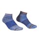 Socks ALPINIST LOW SOCKS M Gray