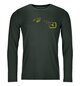 Longsleeves 185 MERINO LOGO SPRAY LS M Green