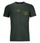 T-Shirts 185 MERINO LOGO SPRAY TS M Green