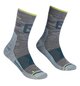 Socks ALPINIST PRO COMP MID SOCKS M Gray