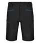 Shorts PELMO SHORTS M Black